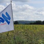 50 Jahre RSVW