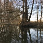 Allgemein