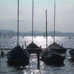 Laser-Regatta_2