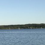 Laser-Regatta_31